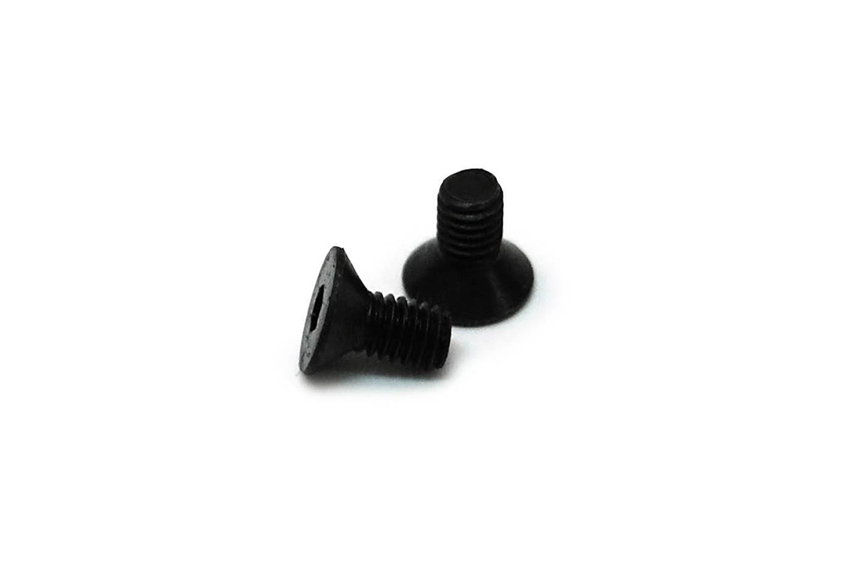 WaterRower Metallic M1 Coverplate Screw Set