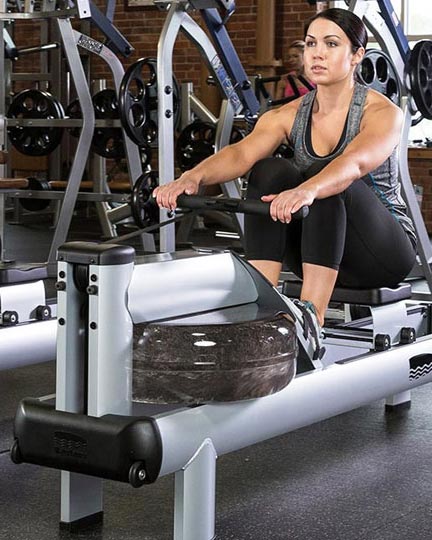 waterrower metallic